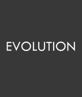 #16 Evolution